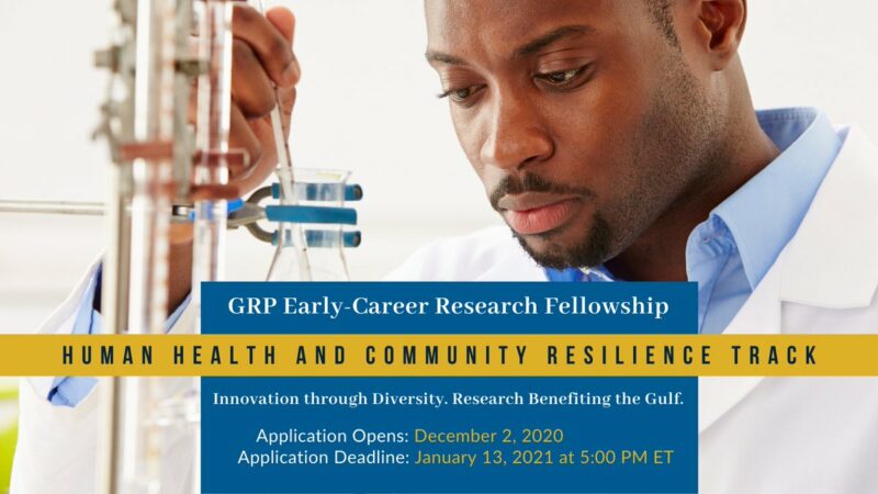 NASEM Gulf Research Program Early-Career Research Fellowships 2021 (Funding available)