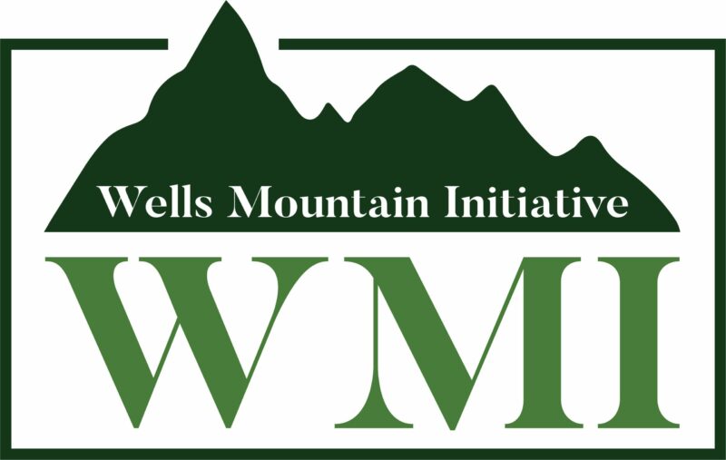 Well Mountain Initiative (WMI) Scholars Program 2021 for Students in  Developing Countries - Opportunity Desk