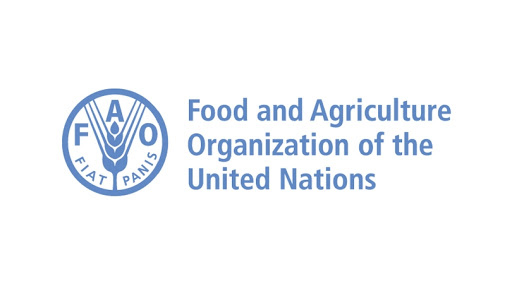 Food and Agriculture Organization of the United Nations (UN FAO) Fellows Programme 2021
