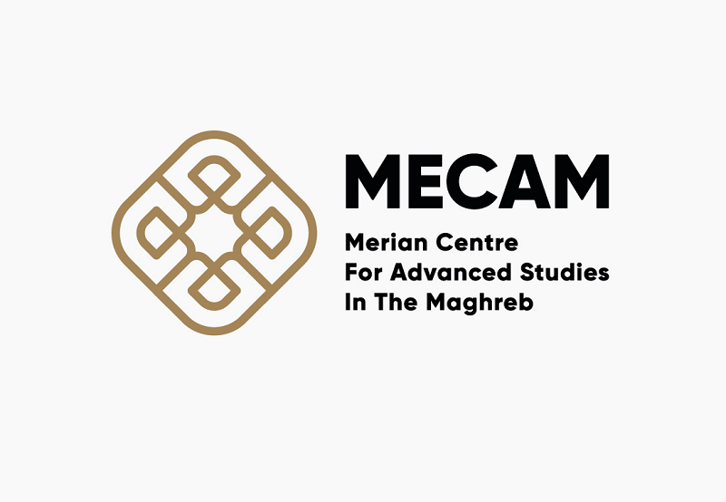 MECAM Fellowships for IFG “Inequality & Mobility” 2021 for Early-career Researchers