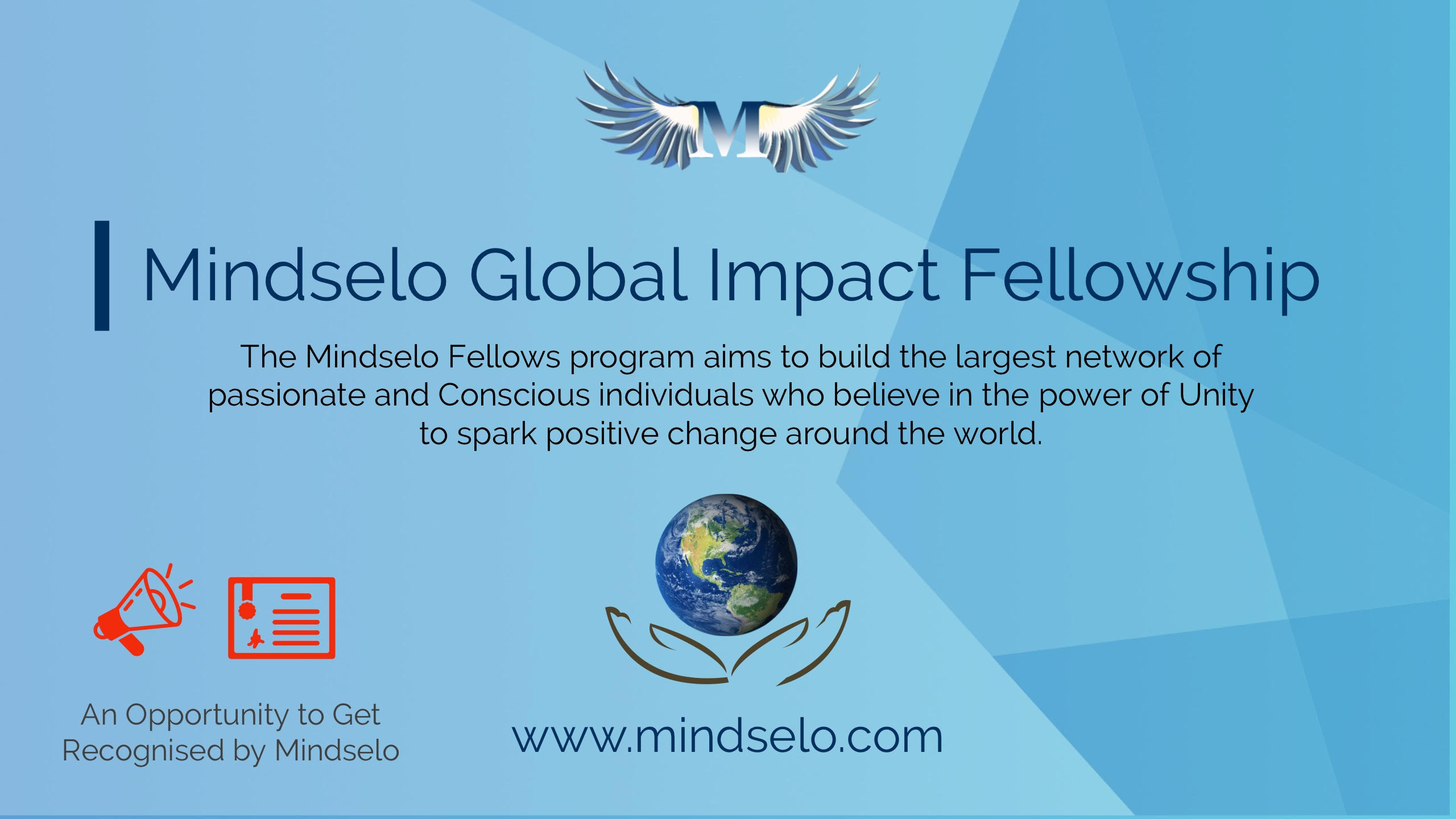 Mindselo Global Impact Fellowship Program 2021