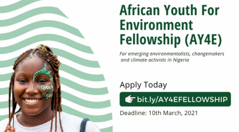 U-recycle Initiative African Youth for Environment (AY4E) Fellowship 2021 [Nigerians Only]