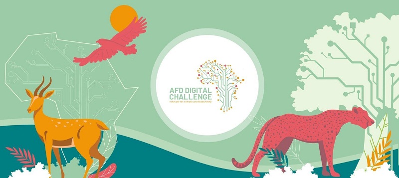 Agence Française de Développement (AFD) Digital Challenge 2021 for African Startups (€20,000 prize)