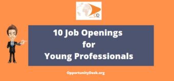10 Job Openings  for Young Professionals