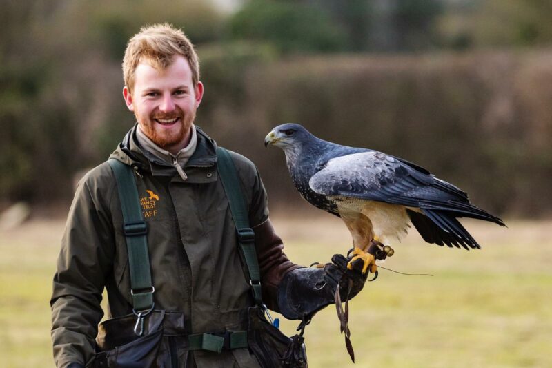 Hawk Conservancy Trust Marion Paviour Award 2021 (Up to £1,000)