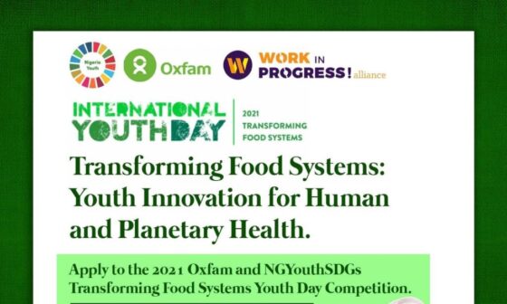 Oxfam Nigeria/NGYouthSDGs Food Systems Challenge 2021 (Win up to N600 ...