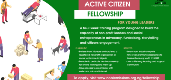 Active Citizen Fellowship 2021 for Young Leaders in Nigeria [Cohort 2]