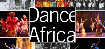 Call for Submissions – DanceAfrica 45 at BAM “Homegrown: In the Spirit of Our Beginnings”