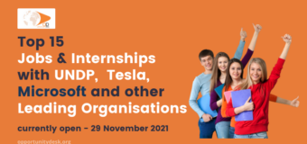 15 Jobs with UNDP, Tesla, Microsoft, and other Leading Organisations currently open – November 29, 2021