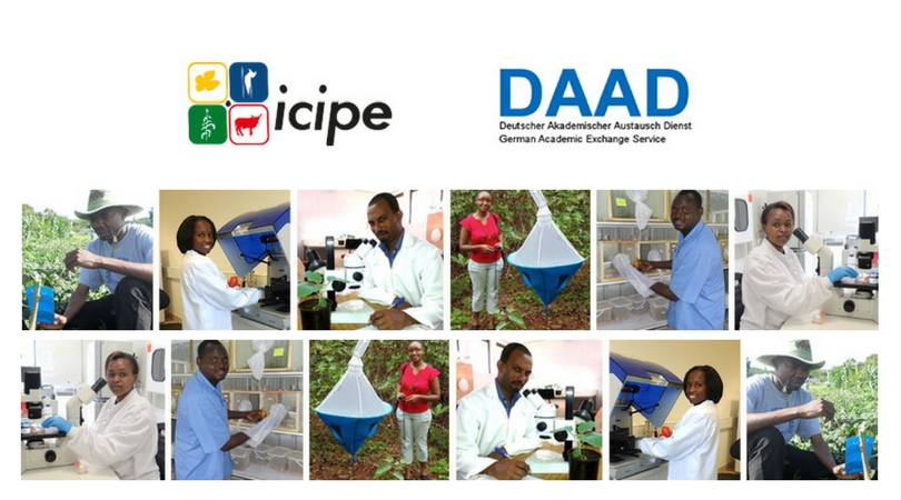 ARPPIS-DAAD PhD Scholarships for Study at icipe 2022 (Fully-funded)