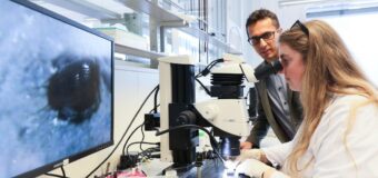 EPFL School of Life Sciences Summer Research Program 2022 (Funded to Switzerland)