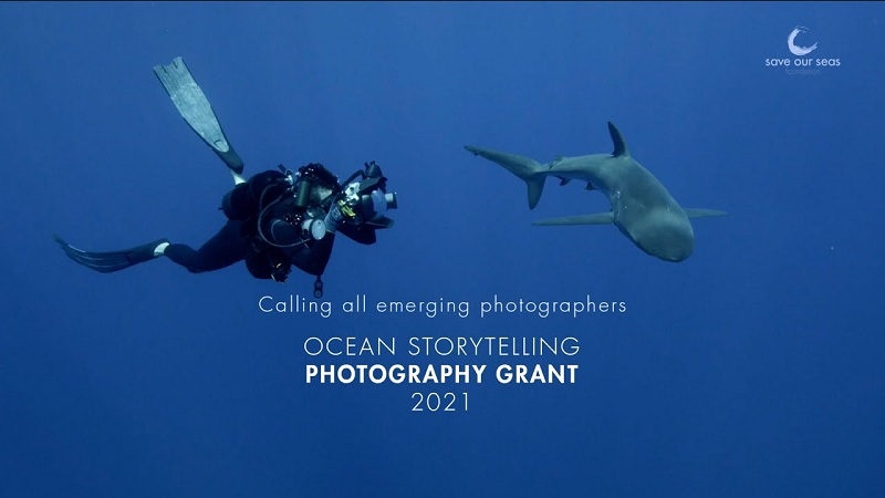 Save Our Seas Foundation Ocean Storytelling Photography Grant 2021 (Up to $2,000)