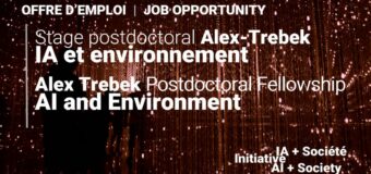Alex Trebek Postdoctoral Fellowship – AI and Environment 2022 (up to $45,000)