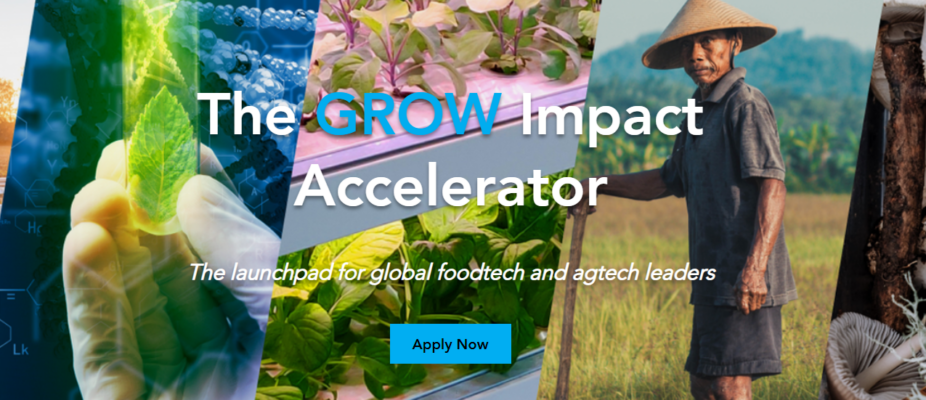 GROW Impact Accelerator 2022 for Global FoodTech and AgTech Leaders ($200K worth of cash and in-kind investment)