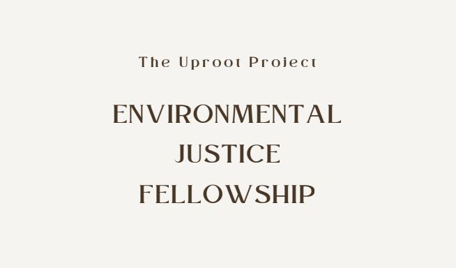 Uproot Project Environmental Justice Fellowship 2022 for Journalists in the U.S. (up to $2,000)