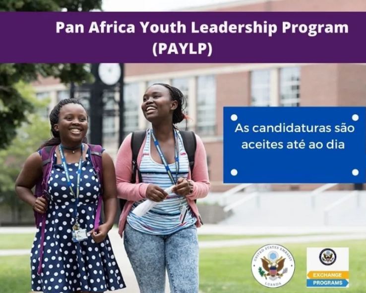 Pan Africa Youth Leadership Program (PAYLP) 2022 for Namibians