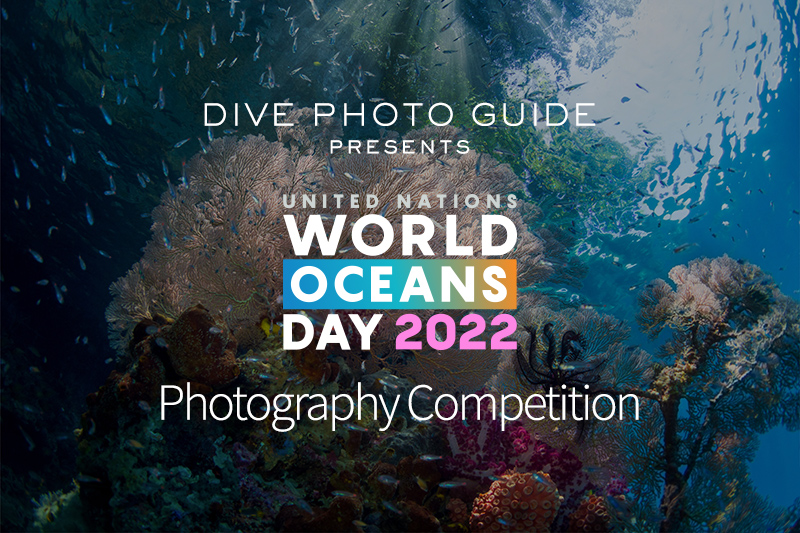 United Nations World Oceans Day Photo Competition 2022