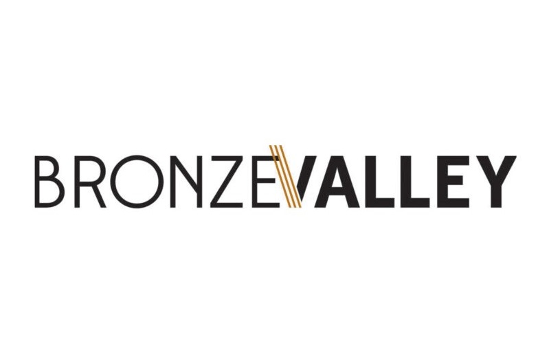 gALPHA Bronze Valley Summer Accelerator 2022 for Aspiring Entrepreneurs [U.S. & Canada]