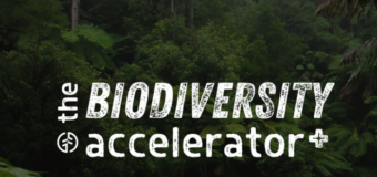Biodiversity Accelerator+ Programme 2022 (Fully-funded to Singapore)