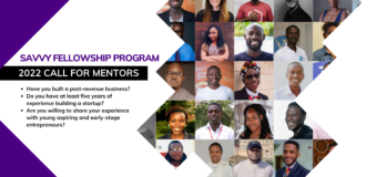 Call for Mentors: Summer 2022 Savvy Global Fellowship Program