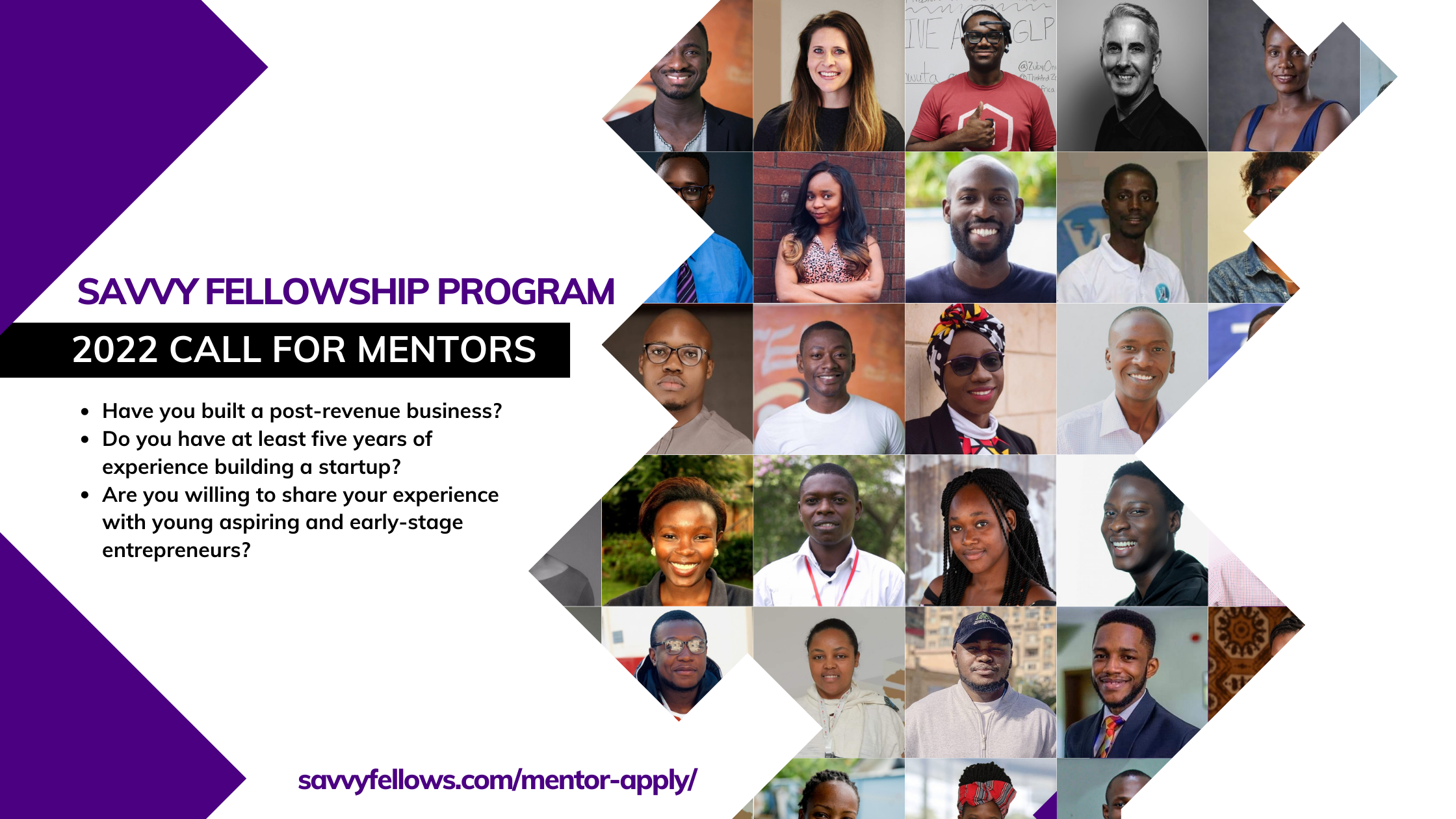 Call for Mentors: Summer 2022 Savvy Global Fellowship Program