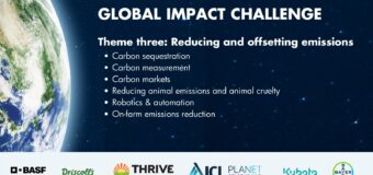 THRIVE Global Impact Challenge 2022 for Innovative Startups