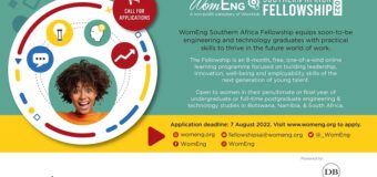 WomEng Southern Africa Fellowship Programme 2022