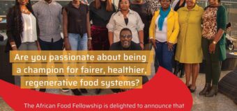 AFF Food Systems Leadership Programme 2022 (Scholarship available)