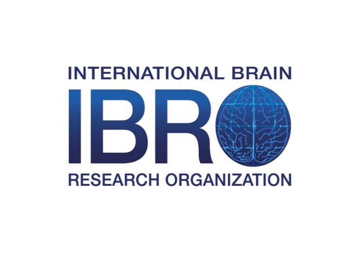 Call for Applications: IBRO Brain Ageing and Dementia in LMICs Course 2022 (Funded)