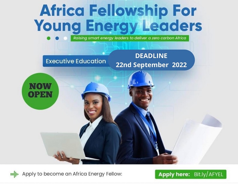Africa Fellowship for Young Energy Leaders 2022 (Cohort 2)