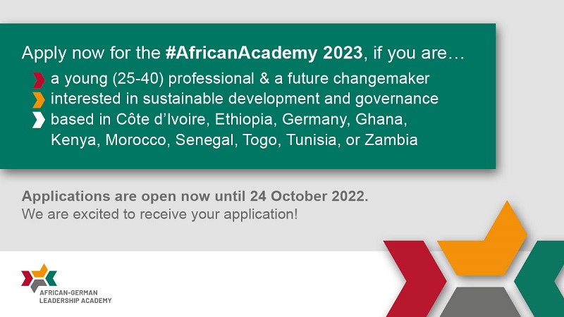BMZ African-German Leadership Academy 2023 for Early to Mid-career professionals (Funded)