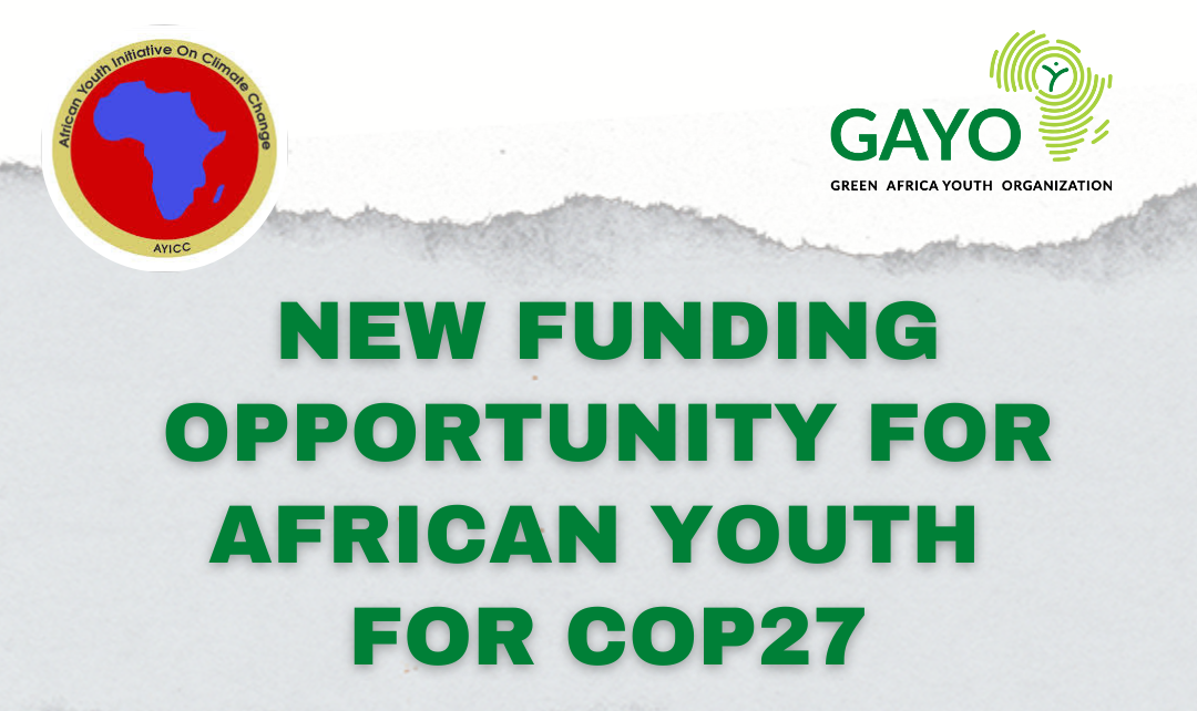 Apply: Funding Opportunity for African Youth to attend COP27 in Egypt
