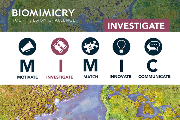 Biomimicry Institute Youth Design Challenge 2023