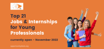 21 Jobs & Internships for Young Professionals Currently Open – November 25, 2022