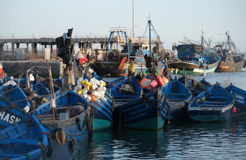 EJN Story Grants for Moroccan Journalists to Report on the Mediterranean Sea 2022