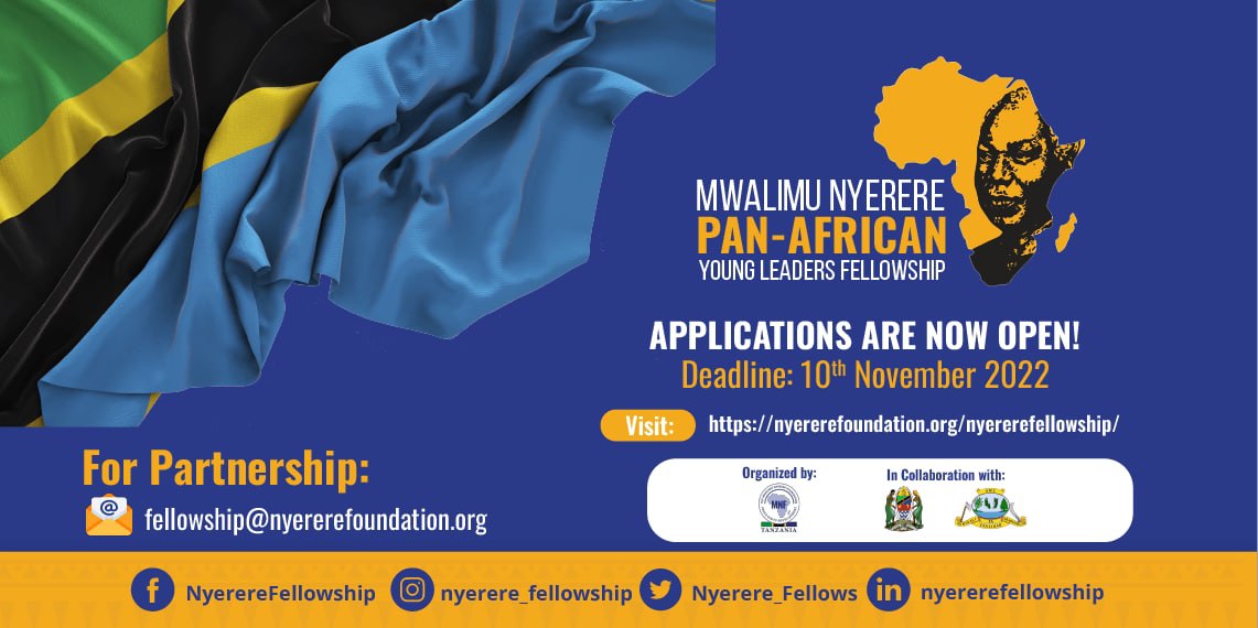 Mwalimu Nyerere Pan-African Young Leaders Fellowship 2022