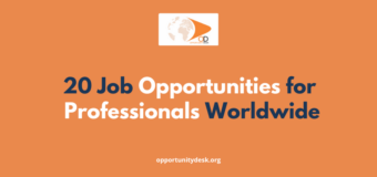 20 Job Opportunities for Professionals Worldwide