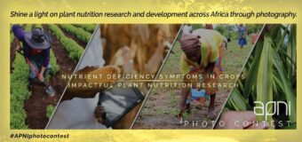 African Plant Nutrition Institute (APNI) Photo Contest 2023