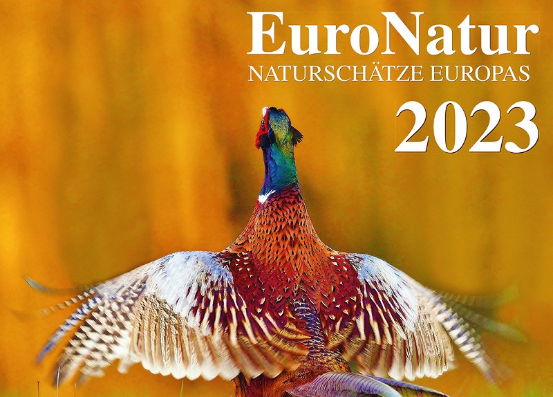EuroNatur Photo Competition 2023 for Nature Photographers in Europe (€1,500 prize)