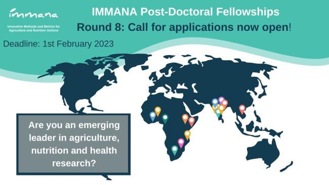 IMMANA Postdoctoral Fellowship Programme 2023 (Stipend available)