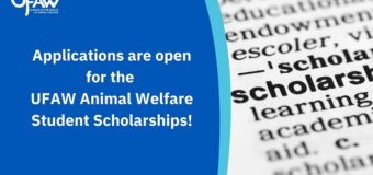 UFAW Animal Welfare Student Scholarships 2023 (up to £2,800)