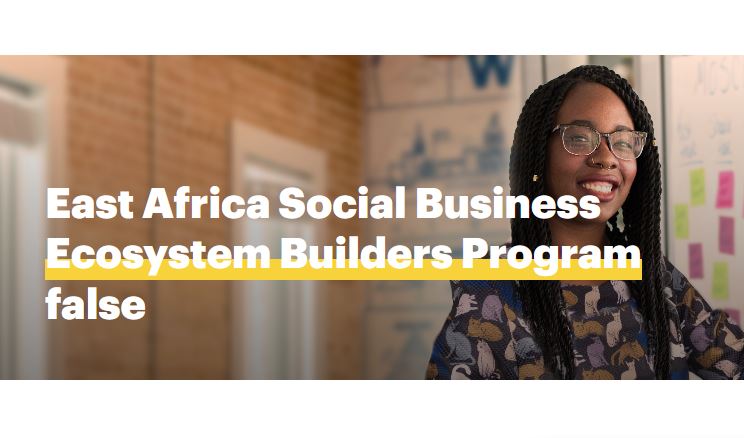 YY Ventures/Yunus Centre East Africa Social Business Ecosystem Builders Programme 2023 (up to €25,000)