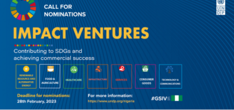 Call for Nominations: UNDP Nigeria Growth Stage Impact Ventures (GSIV) Programme 2023