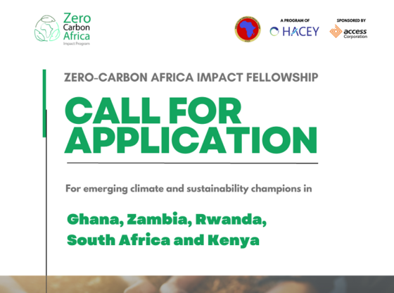 Zero Carbon Africa Impact Fellowship Program 2023 Opportunity Desk