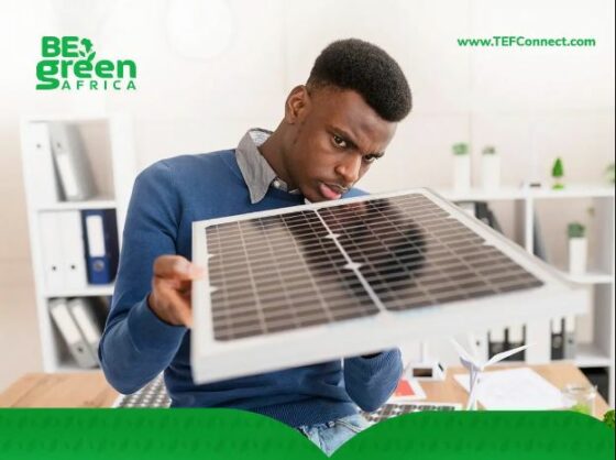 BeGreen Africa Initiative 2023 for African Green Entrepreneurs ...