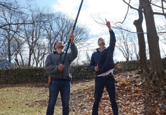 Global Change Postdoctoral Fellowship At The Arnold Arboretum Of   Global Change Postdoctoral Fellowship At The Arnold Arboretum Of Harvard University 2024 560x388 