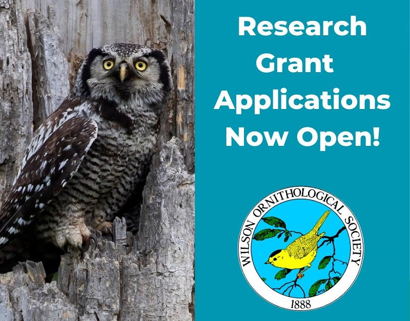 Wilson Ornithological Society Research Grants 2024 Opportunity Desk