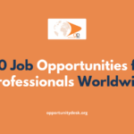 20 Job Opportunities for Professionals Worldwide