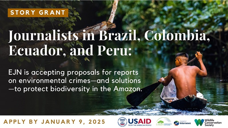 EJN Story Grants to Strengthen Coverage of Environmental Crimes 