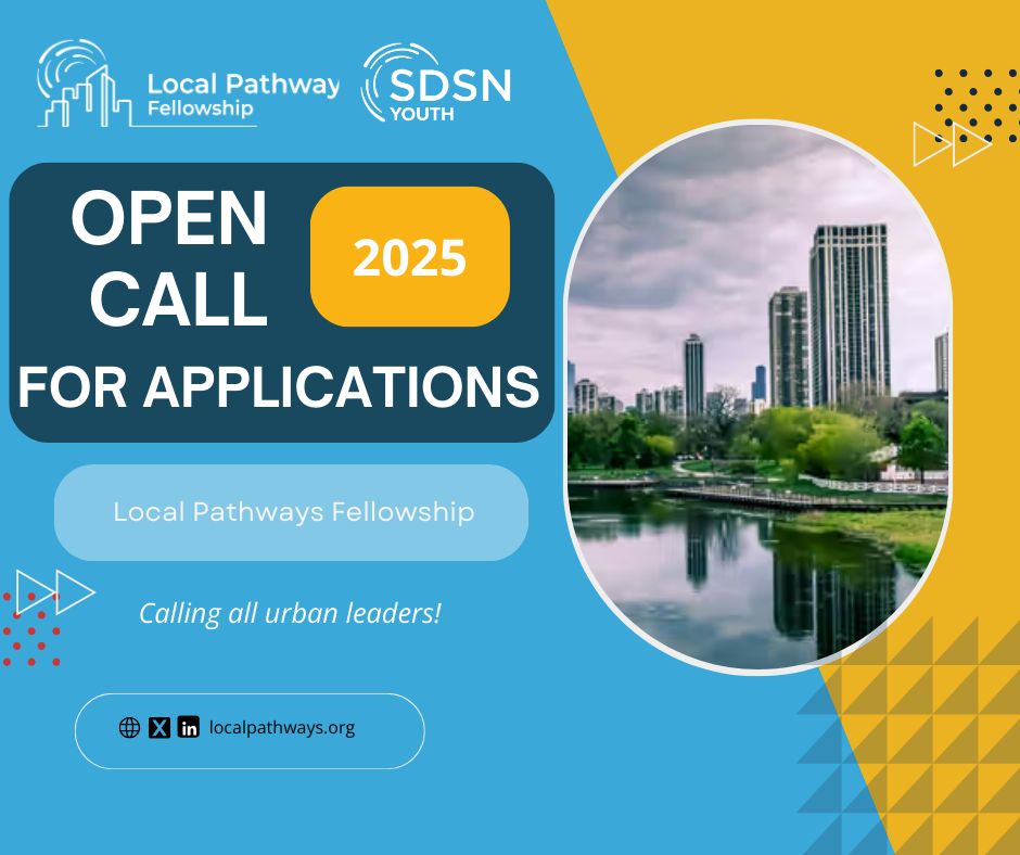 United Nations SDSN Youth Local Pathways Fellowship 2025 Opportunity Desk